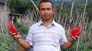 Hari Lingkungan Hidup Sedunia, Cara Startup CROWDE Sejahterakan Petani Indonesia